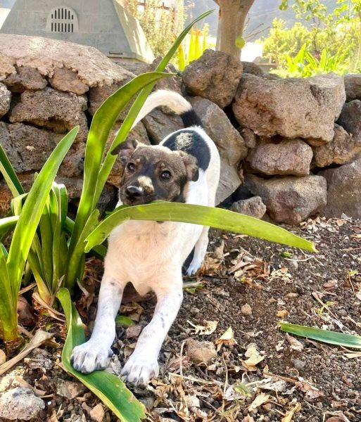 photo_2025-09-08 21.44.18