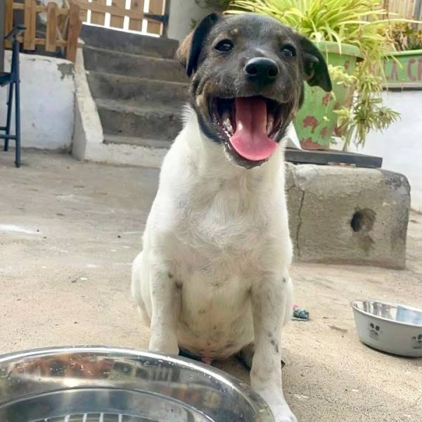 photo_2025-09-08 21.44.20