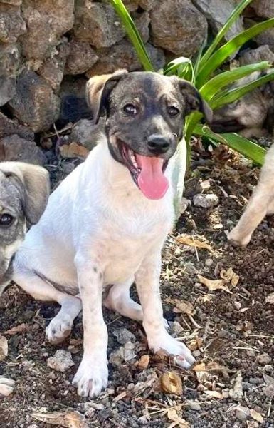 photo_2025-09-08 21.44.21