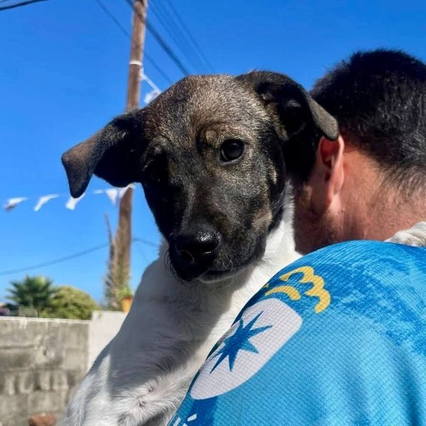 photo_2025-09-08 21.44.23