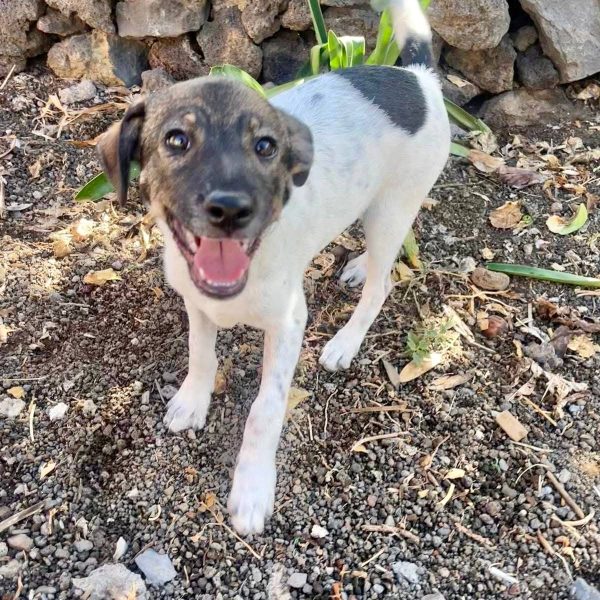 photo_2025-09-08 21.44.24