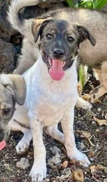 photo_2025-09-08 21.44.26