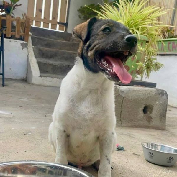 photo_2025-09-08 21.44.27