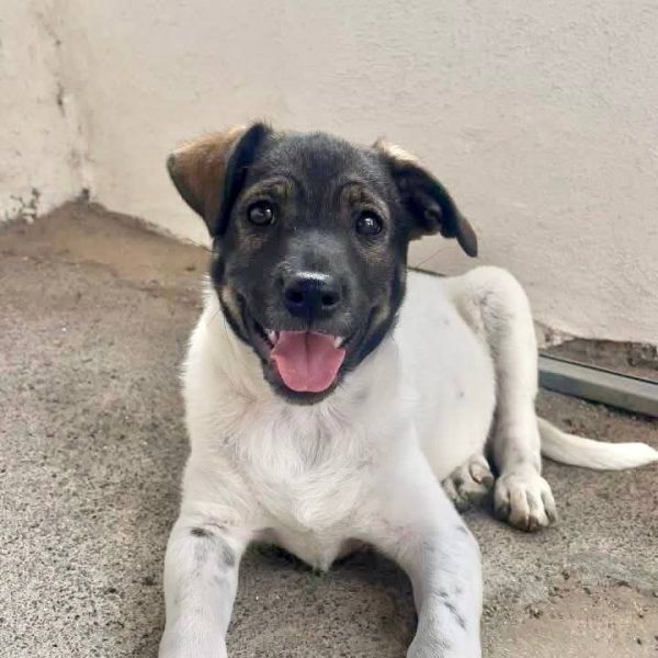 photo_2025-09-08 21.44.28