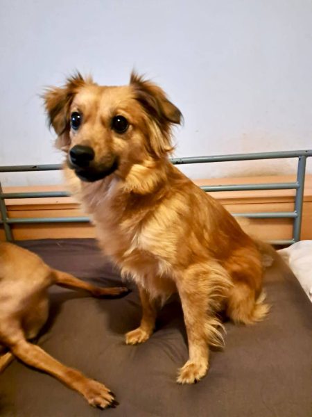 photo_2025-09-08 21.47.03