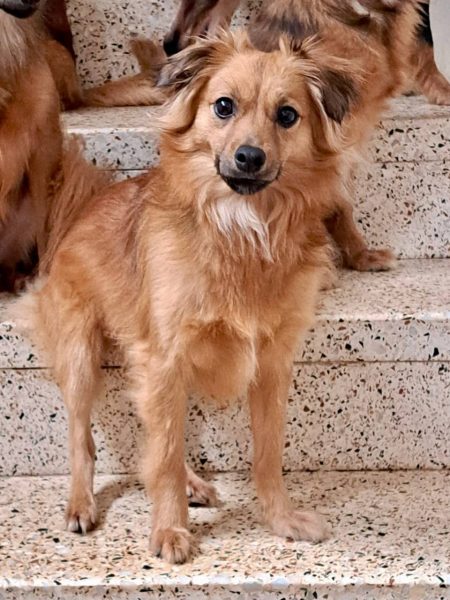 photo_2025-09-08 21.47.04