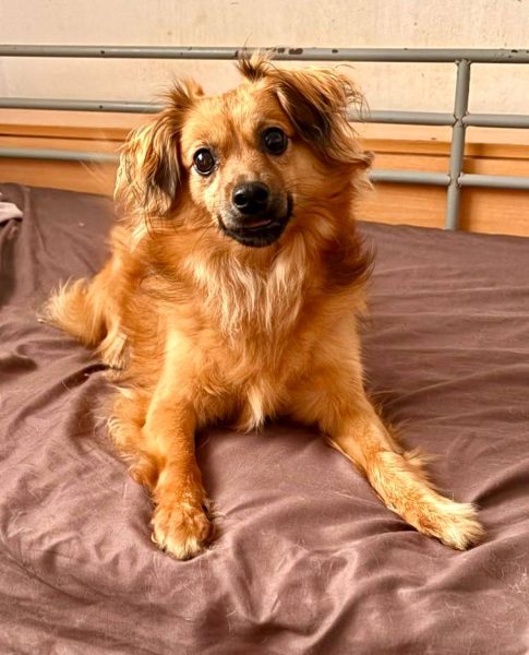 photo_2025-09-08 21.47.06