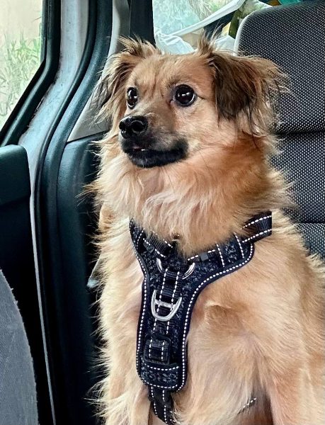 photo_2025-09-08 21.47.10