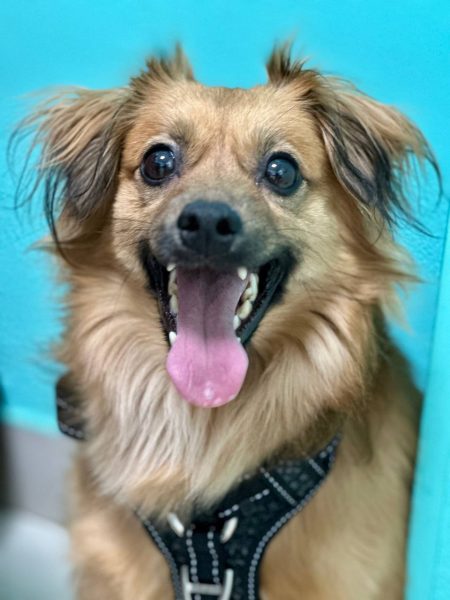 photo_2025-09-08 21.47.14