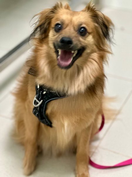 photo_2025-09-08 21.47.26