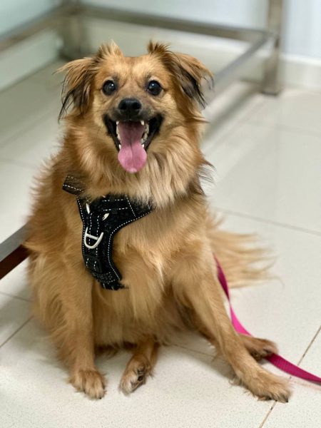 photo_2025-09-08 21.47.28