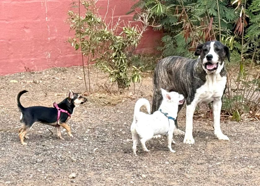 photo_2025-09-11 08.14.19