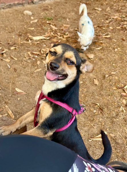 photo_2025-09-11 08.14.22