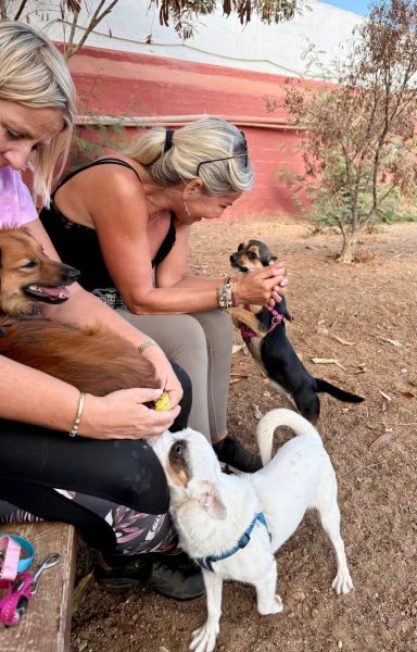 photo_2025-09-11 08.14.29