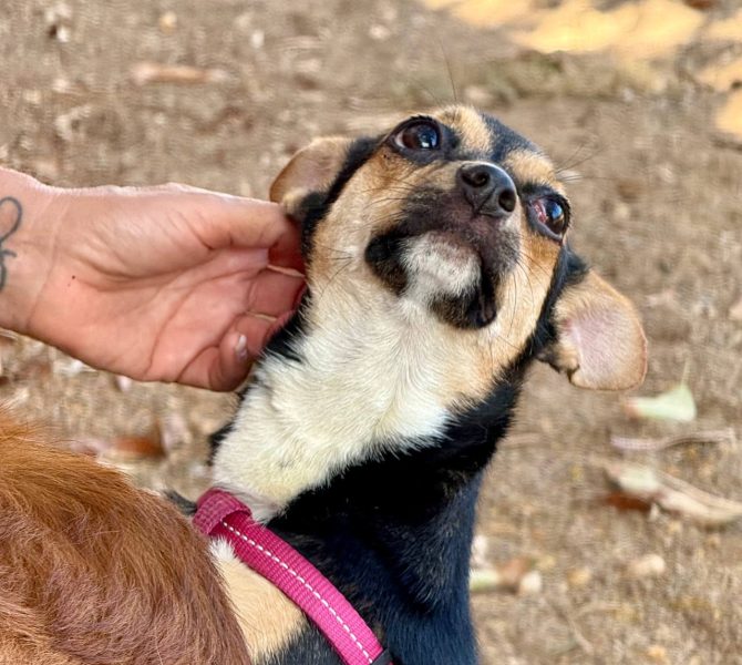 photo_2025-09-11 08.14.31