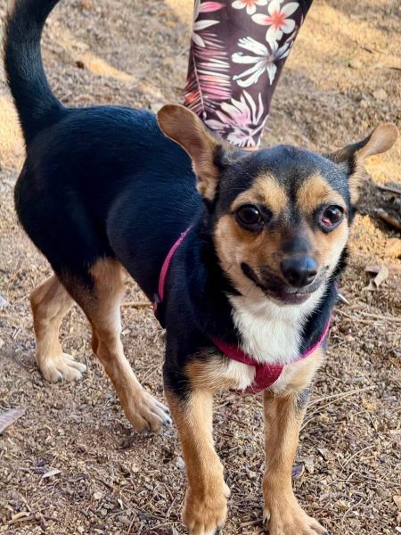 photo_2025-09-11 08.14.32