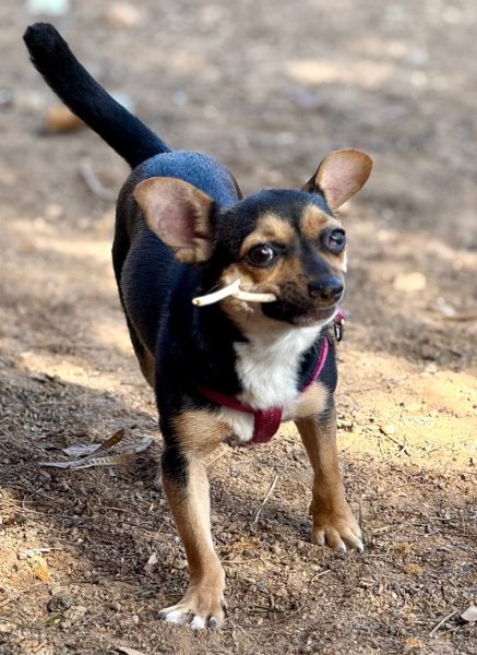 photo_2025-09-11 08.14.33