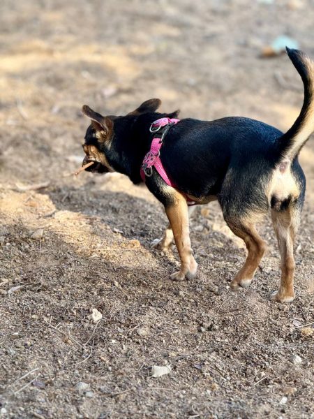 photo_2025-09-11 08.14.38