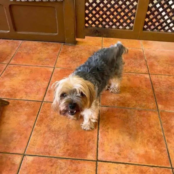 photo_2025-09-19 13.03.50 (1)