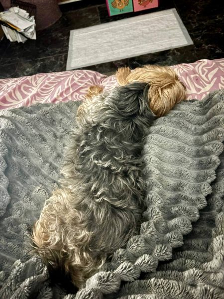 photo_2025-09-19 13.03.53 (1)