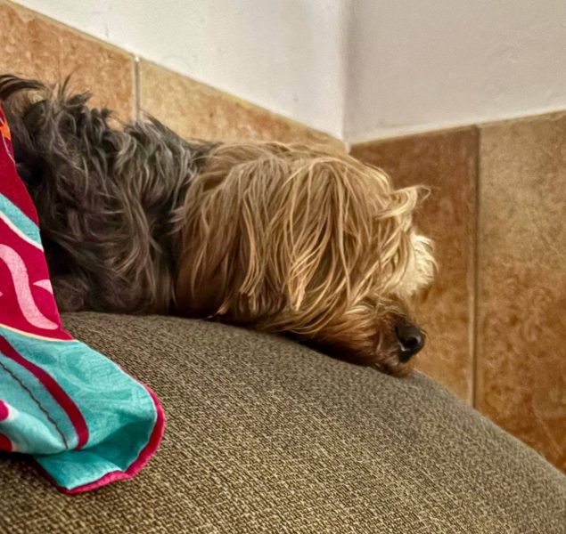 photo_2025-09-19 13.03.55