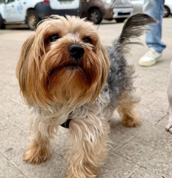 photo_2025-09-19 13.03.56 (1)