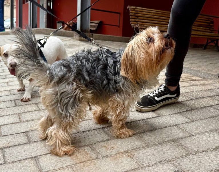 photo_2025-09-19 13.03.57