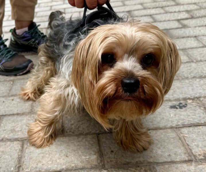 photo_2025-09-19 13.03.59