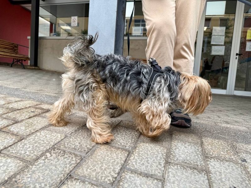 photo_2025-09-19 13.04.11