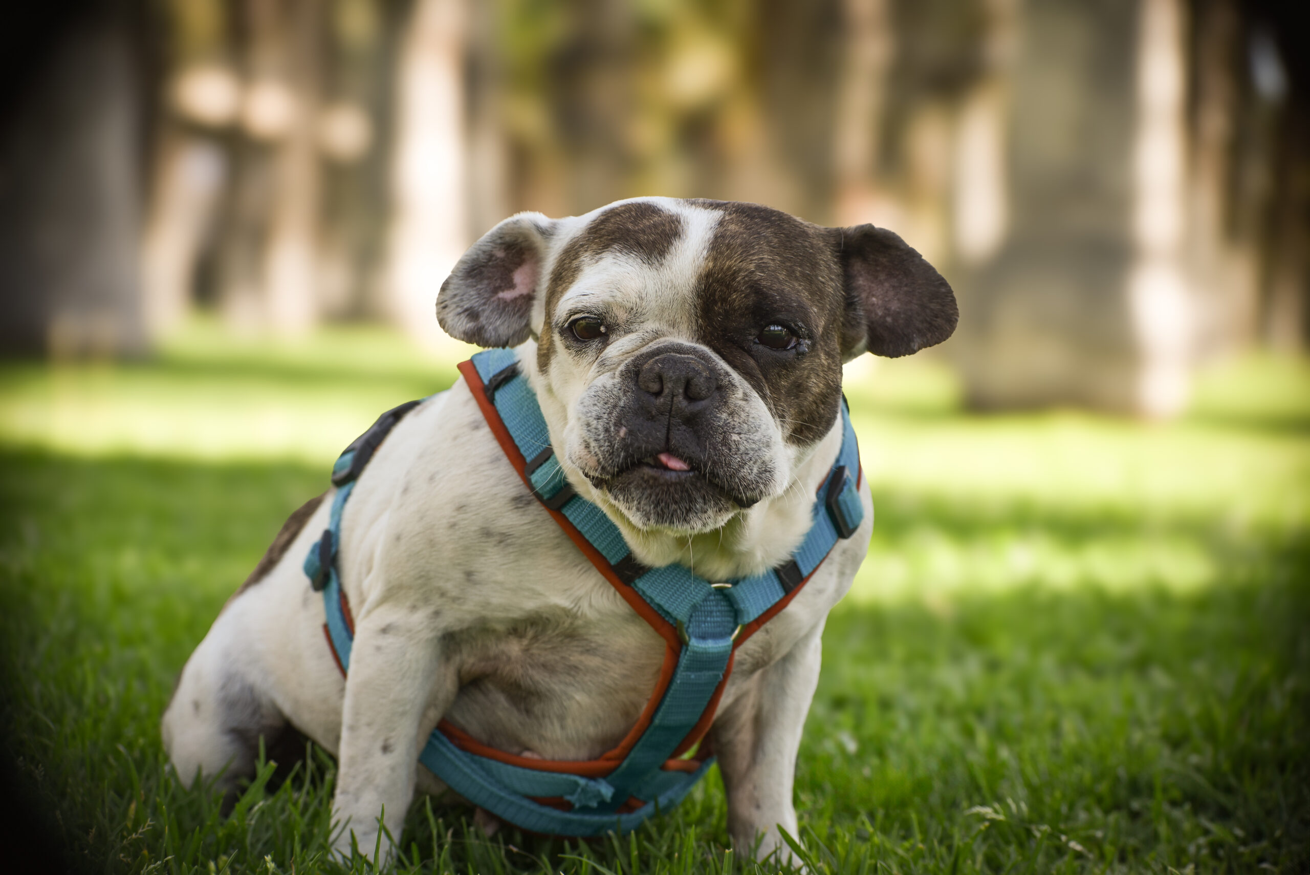 DSC_4985_MBP-von-Sarah_Apr-28-071616-2025_CaseConflict