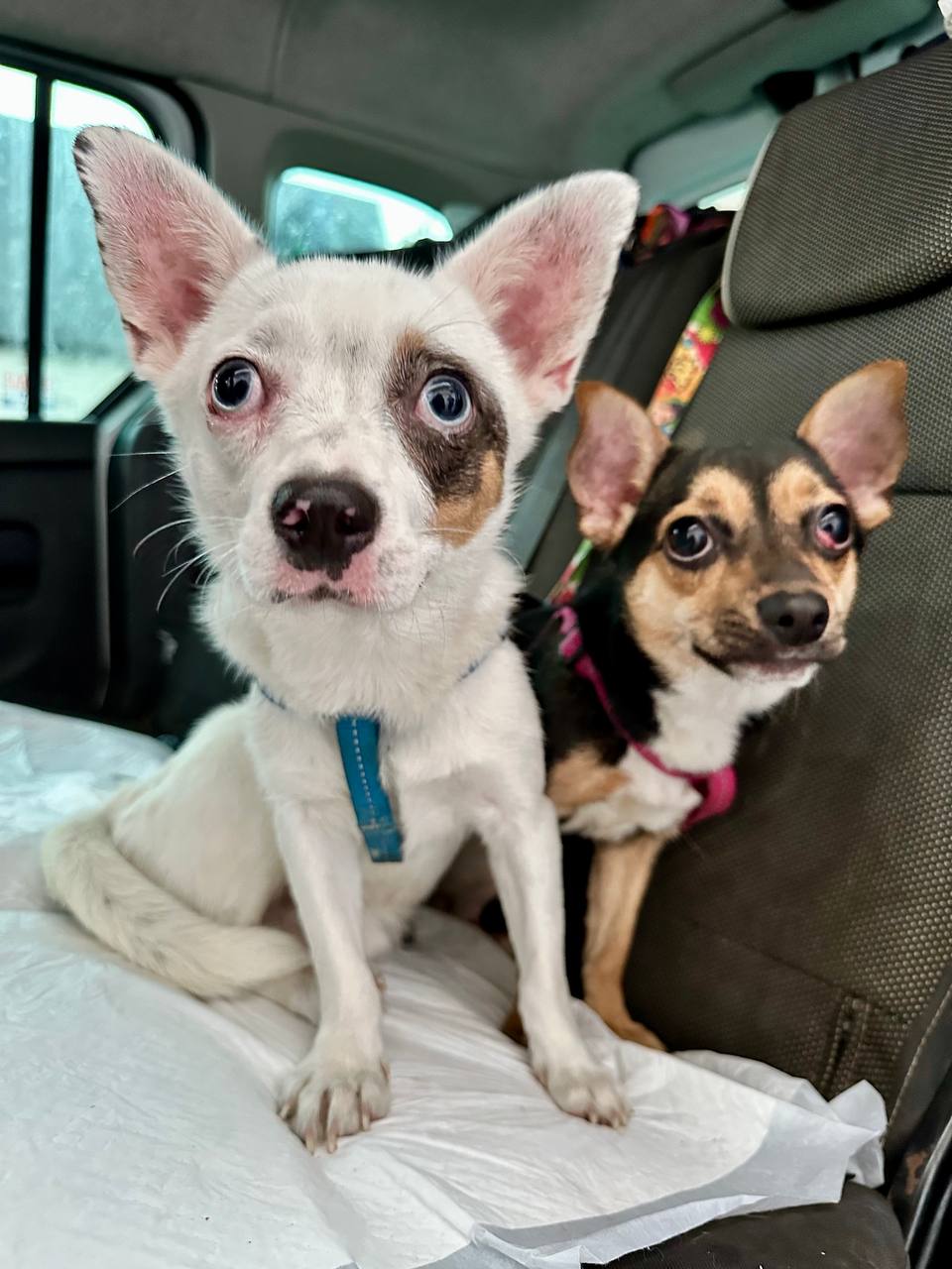 photo_2025-09-08 21.39.43