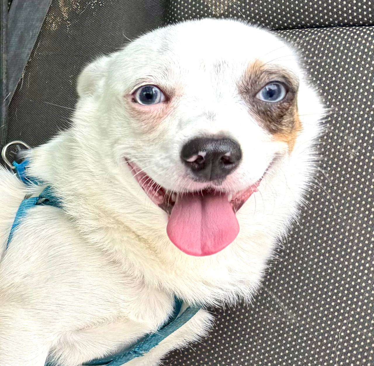 photo_2025-09-11 08.14.15