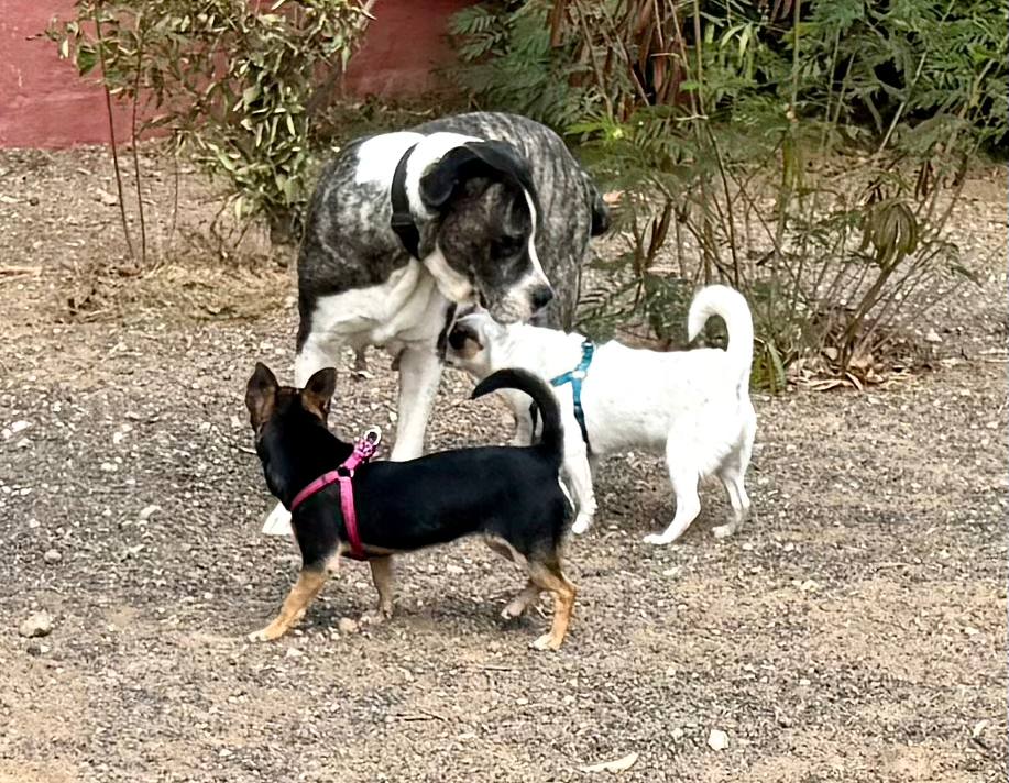 photo_2025-09-11 08.14.17