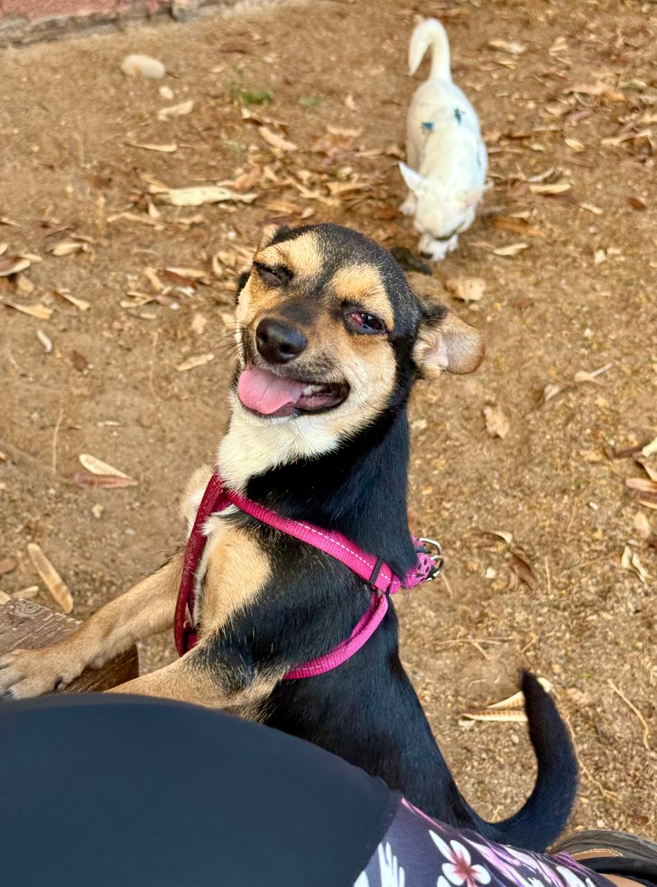 photo_2025-09-11 08.14.22