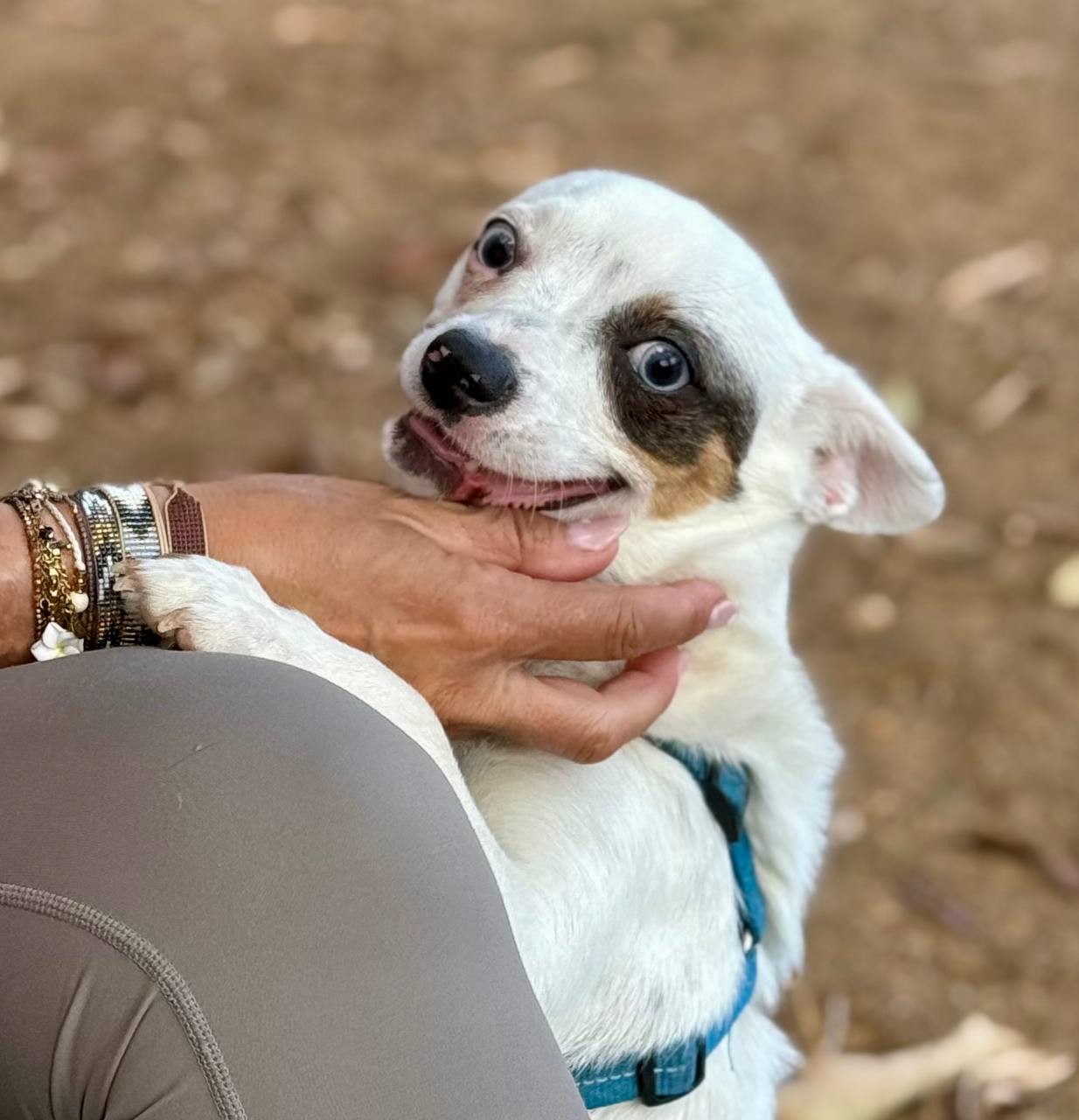 photo_2025-09-11 08.14.25