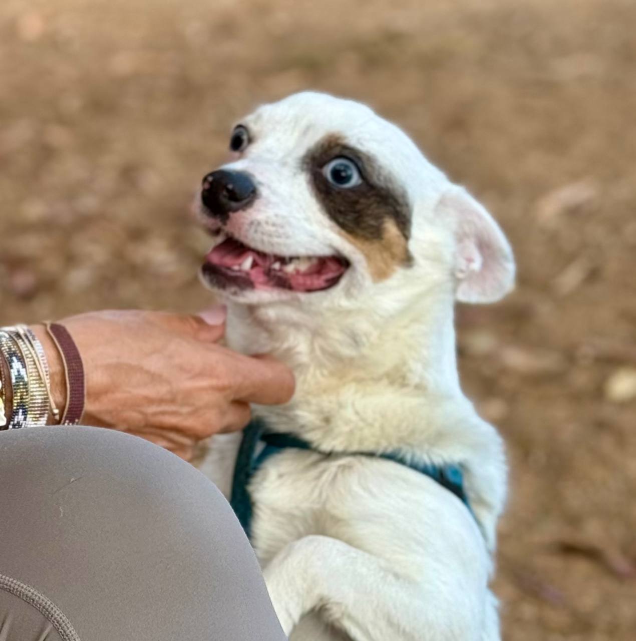 photo_2025-09-11 08.14.27