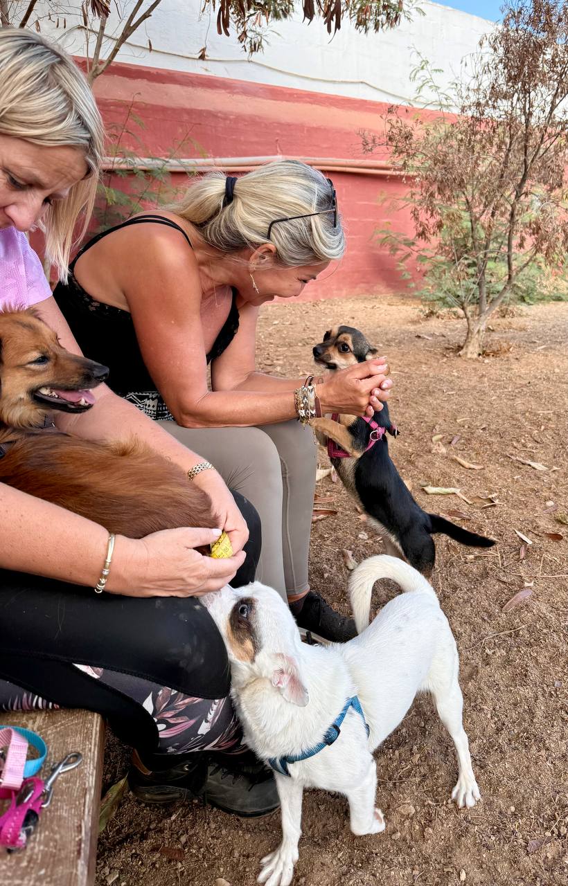 photo_2025-09-11 08.14.29