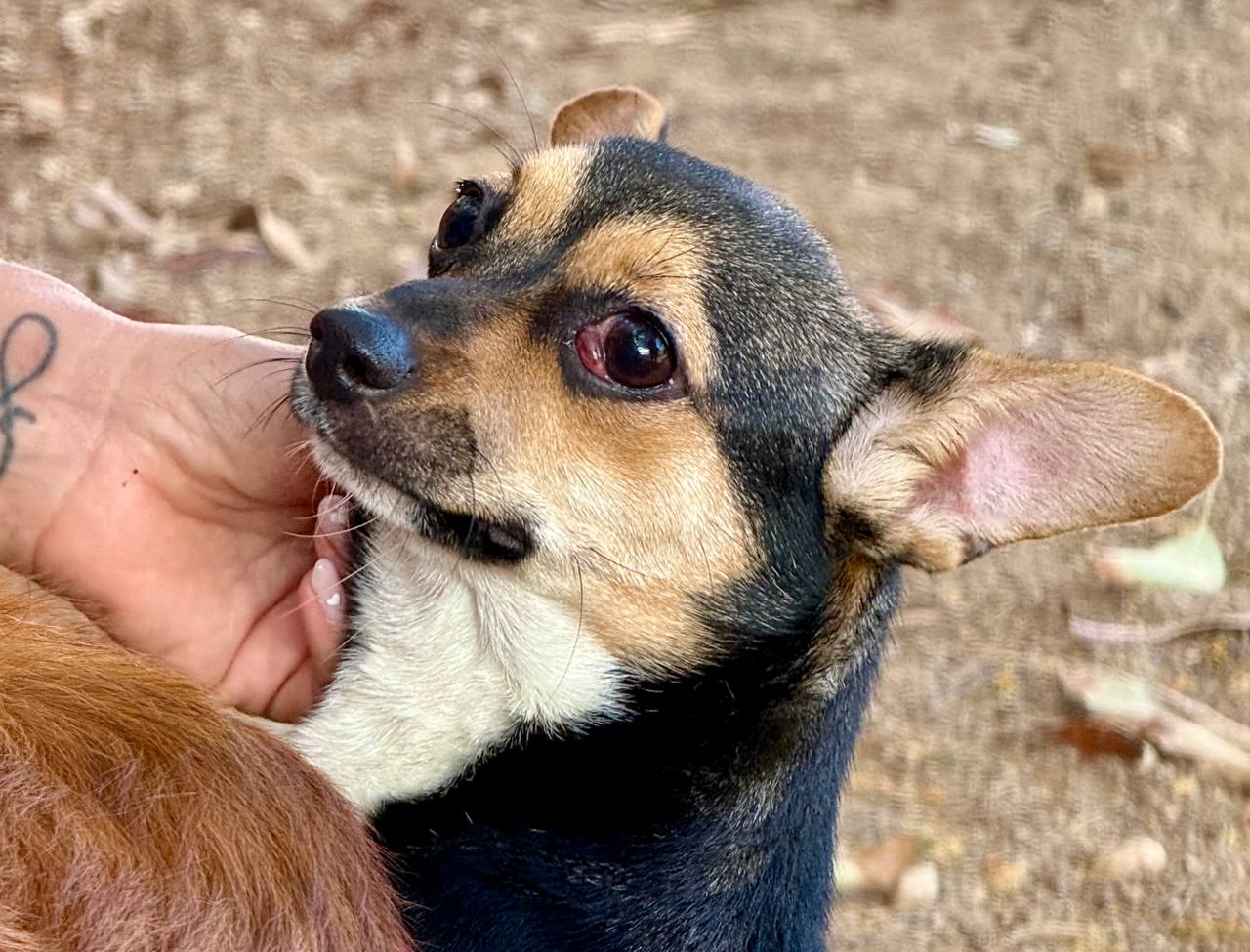 photo_2025-09-11 08.14.30