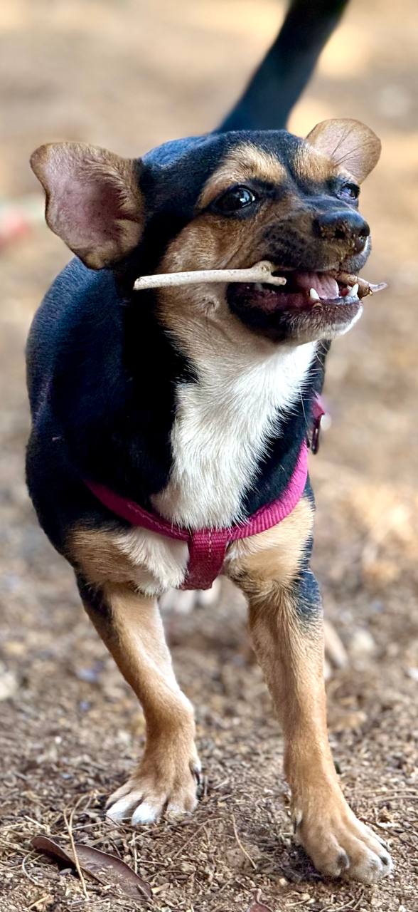 photo_2025-09-11 08.14.36