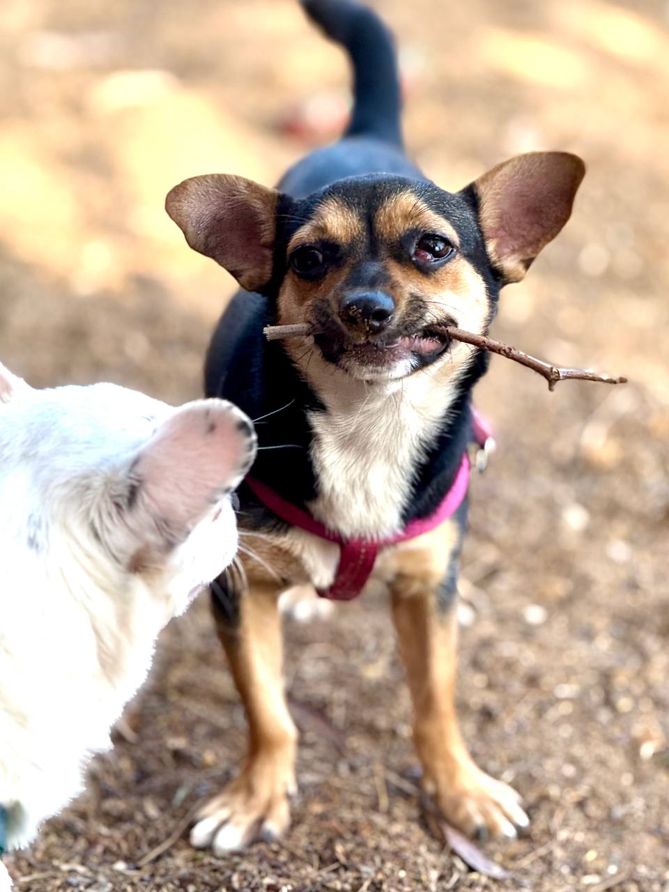 photo_2025-09-11 08.14.37