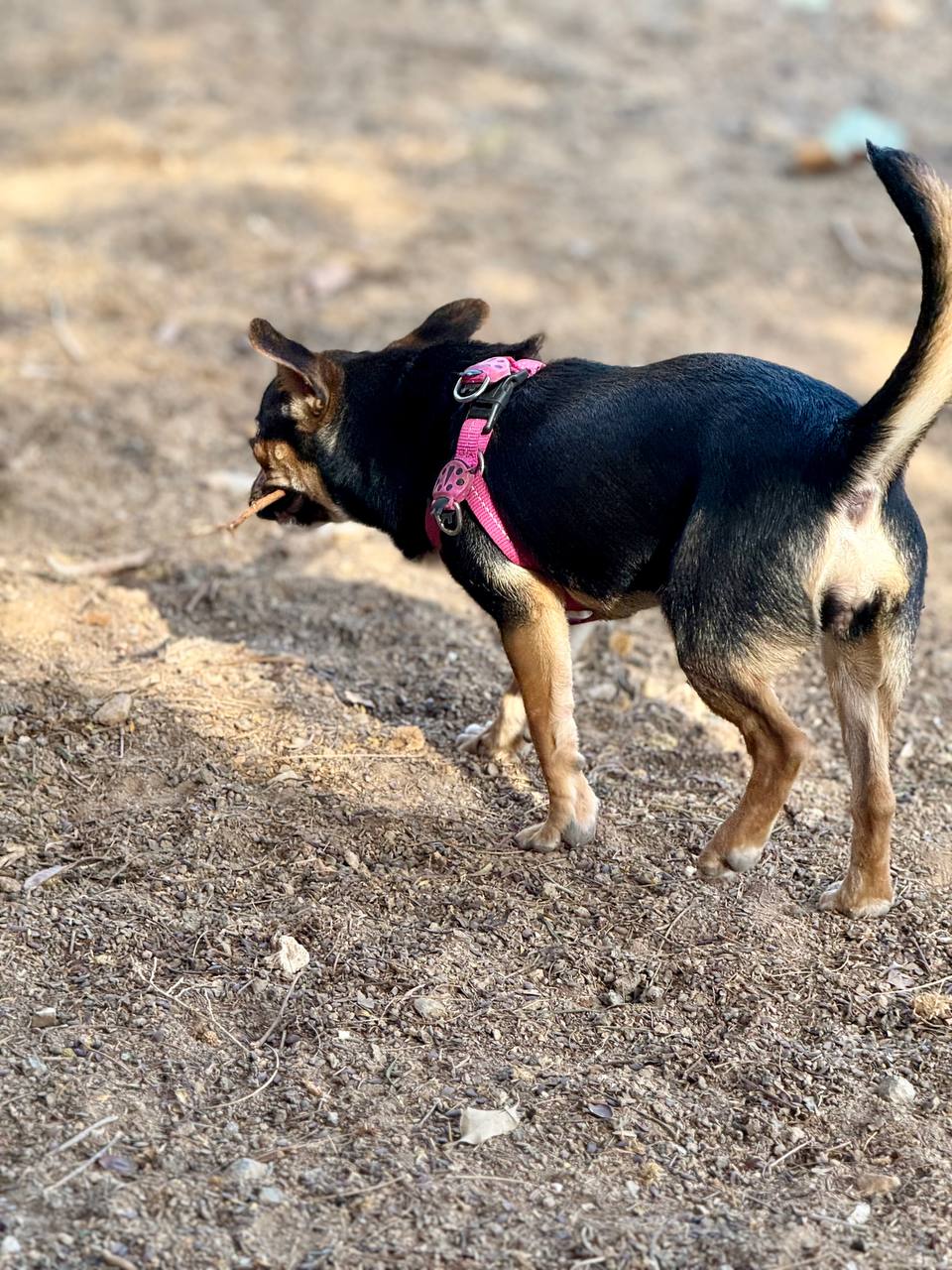 photo_2025-09-11 08.14.38