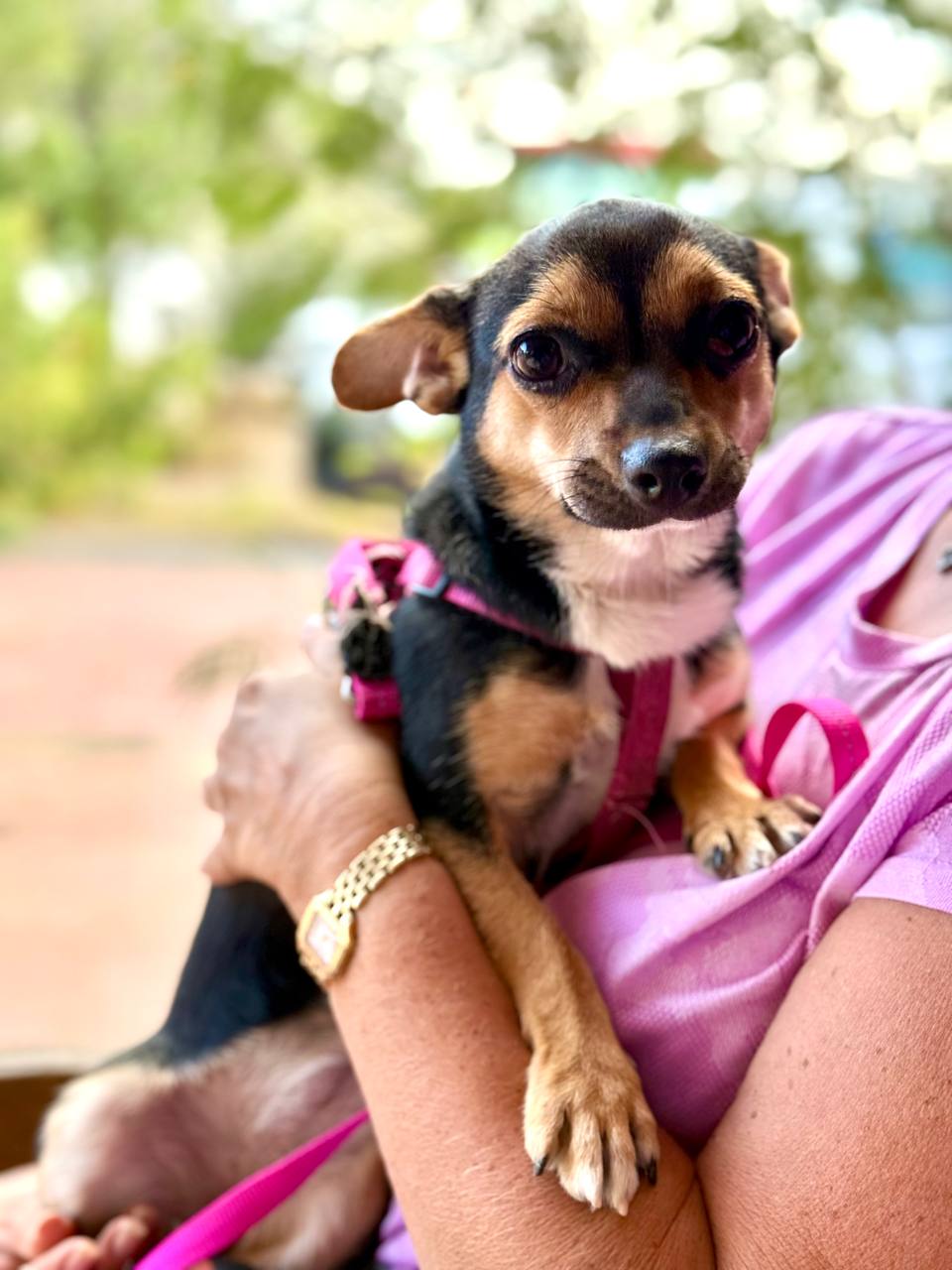 photo_2025-09-11 08.14.40