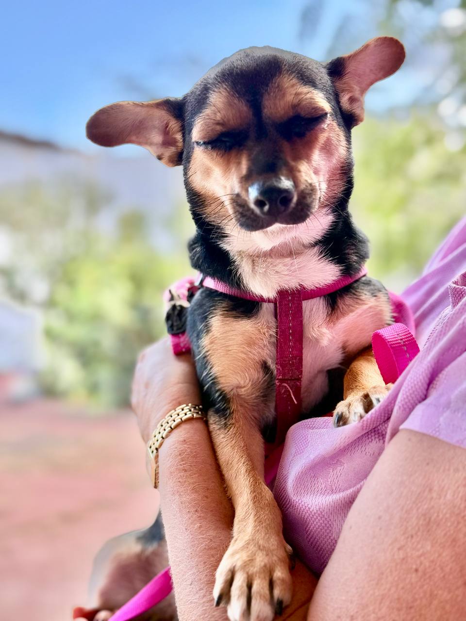 photo_2025-09-11 08.14.43