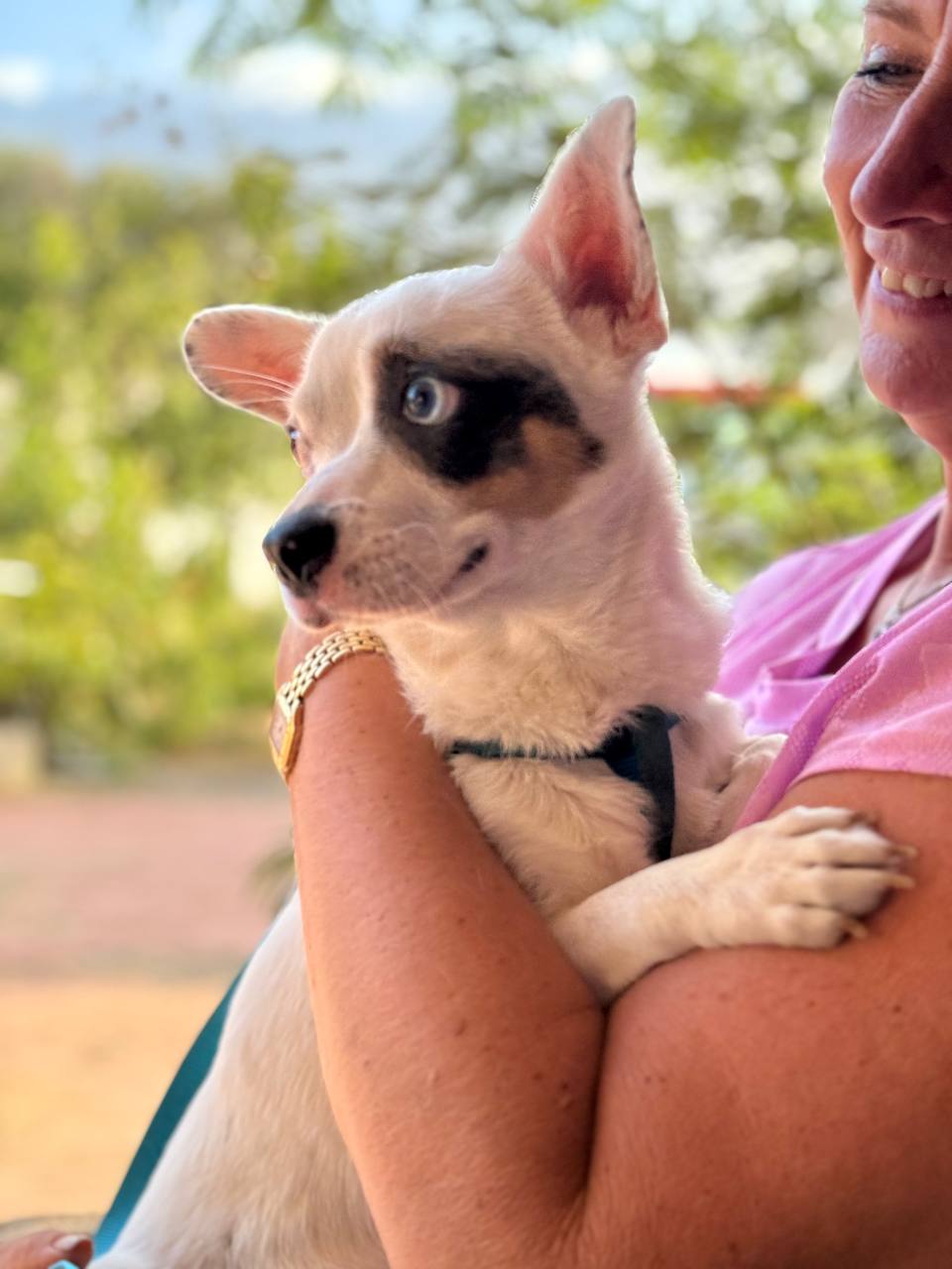 photo_2025-09-11 08.14.44