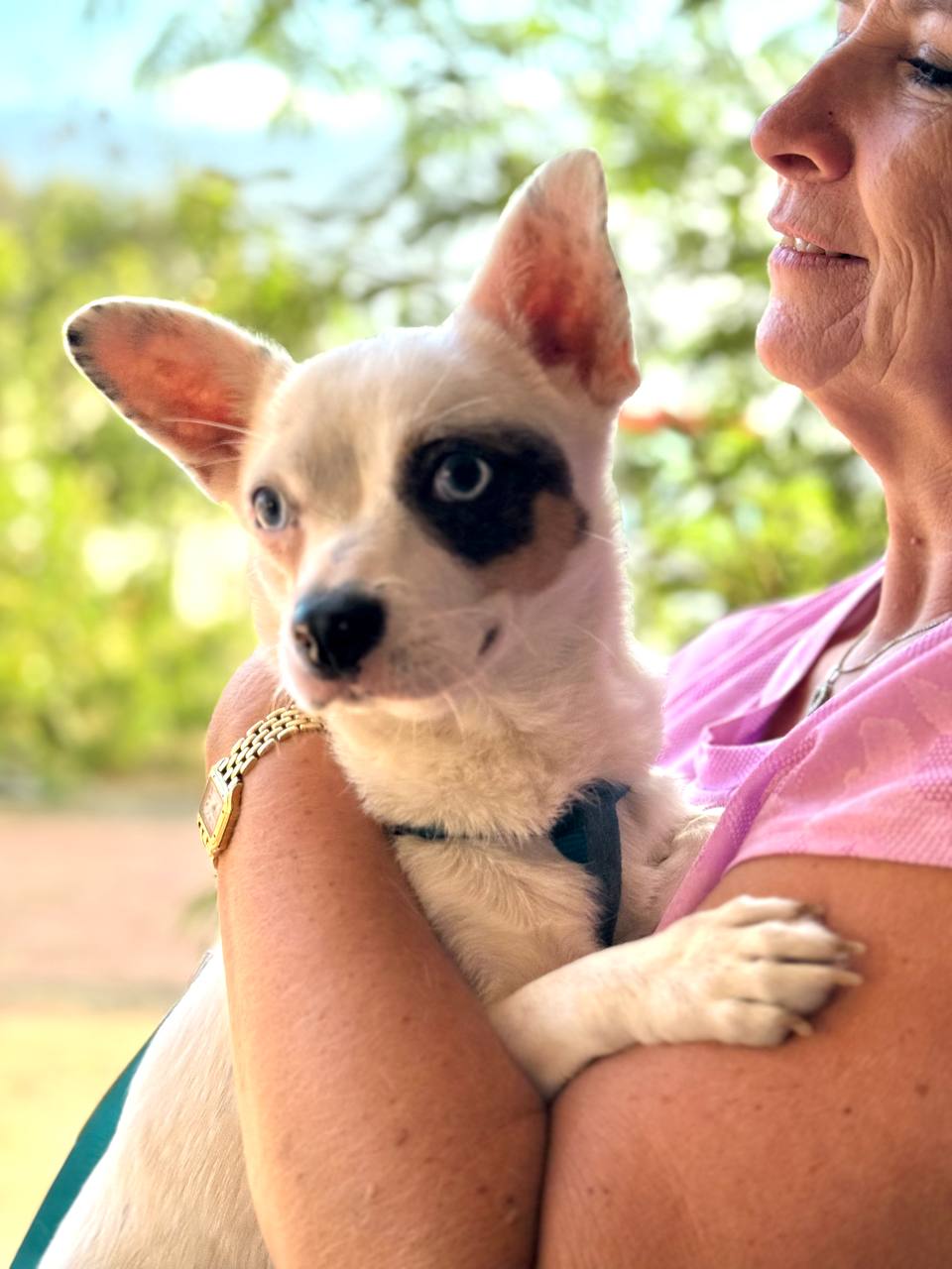 photo_2025-09-11 08.14.45