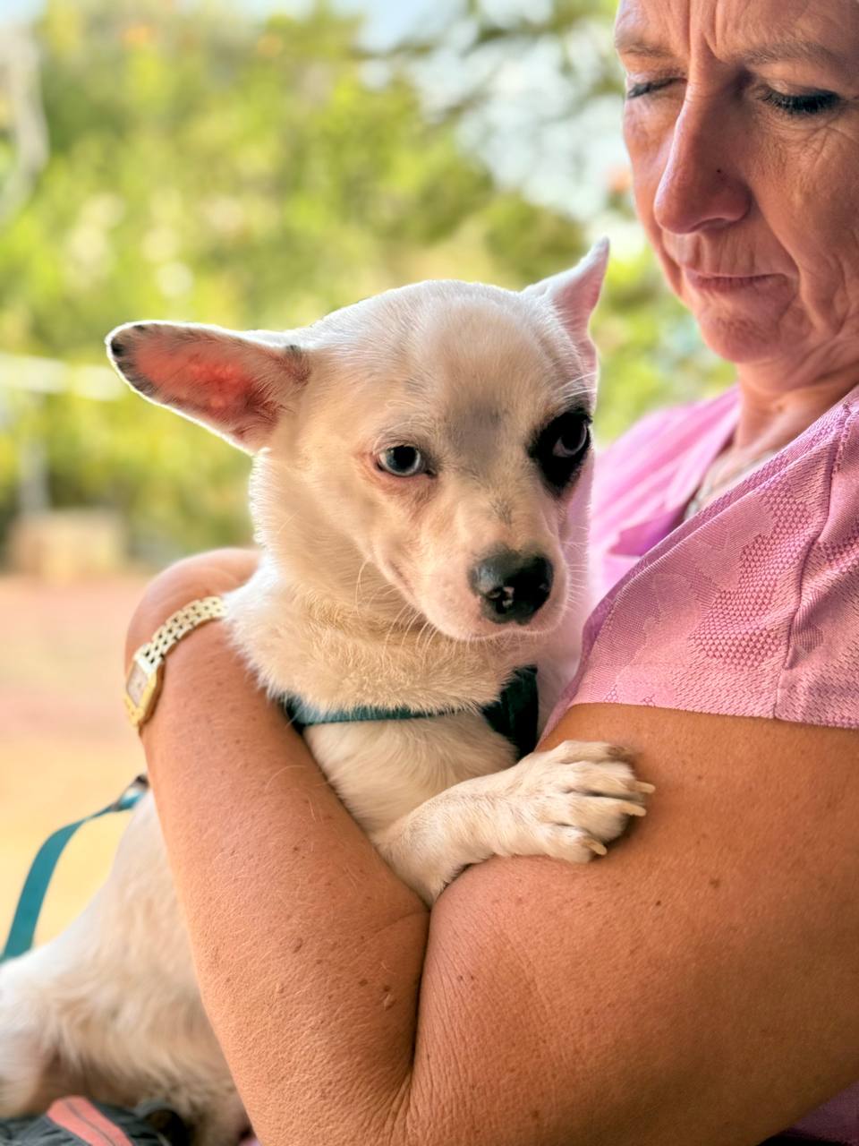 photo_2025-09-11 08.14.54 (1)