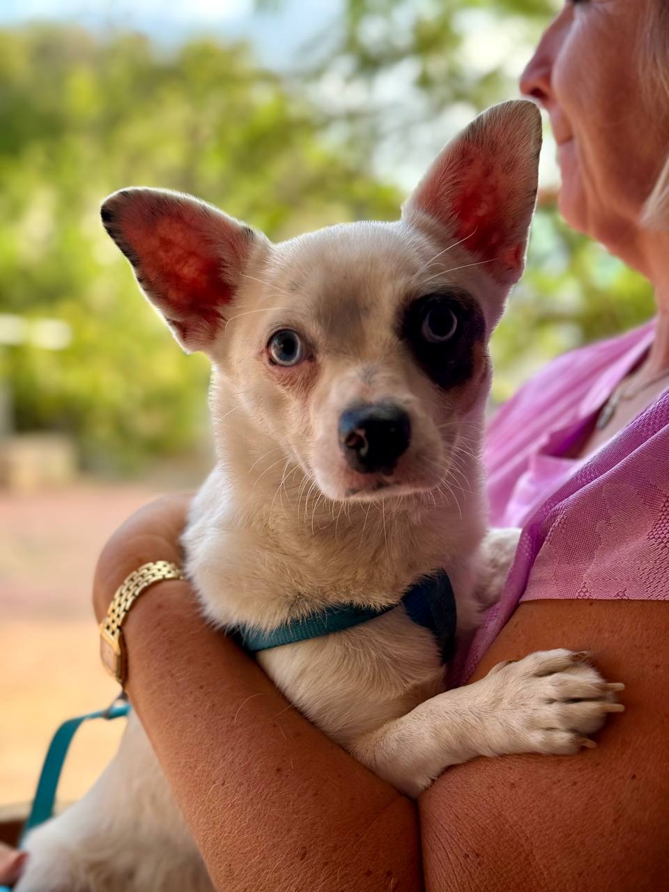 photo_2025-09-11 08.14.57