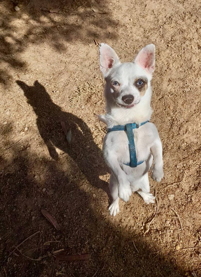 photo_2025-09-11 08.15.00