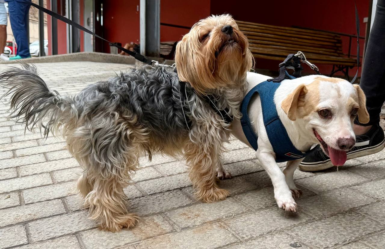 photo_2025-09-19 13.03.57 (1)