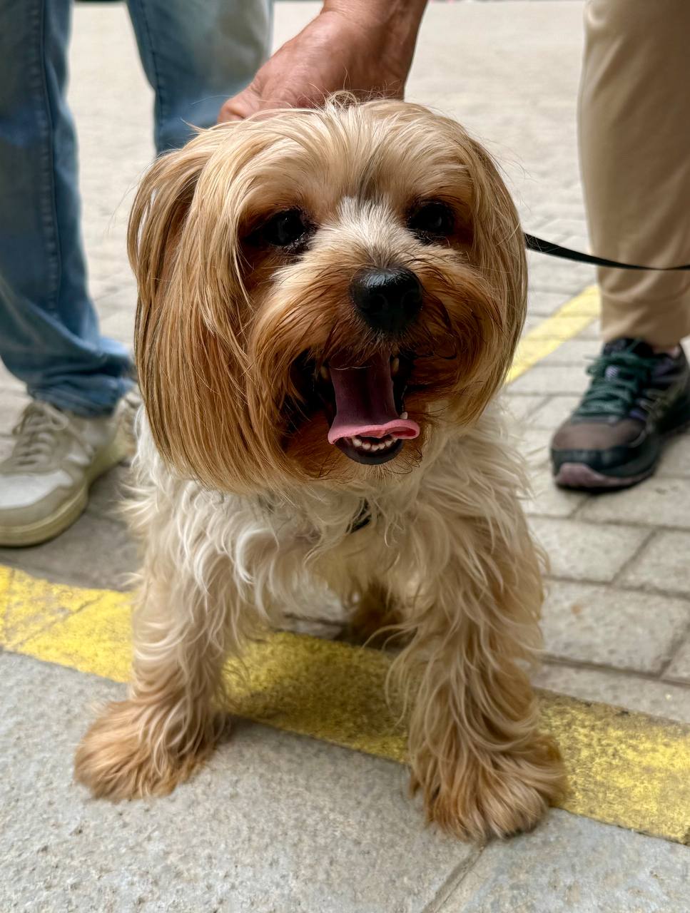 photo_2025-09-19 13.03.58